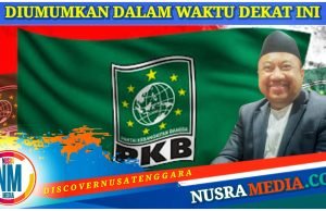 Bacagub Pilihan PKB, Lalu Arie : “DPP Memiliki Perioritas Tersendiri”