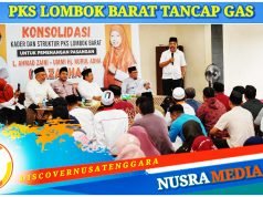 Ketua DPP PKS Johan Rosihan Instruksikan Totalitas Menangkan LAZADHA