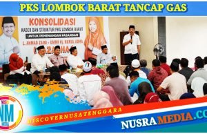 Ketua DPP PKS Johan Rosihan Instruksikan Totalitas Menangkan LAZADHA