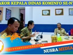 Peningkatan Kapasitas SDM Digital