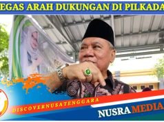 PPP Pastikan Usung Rohmi-Firin