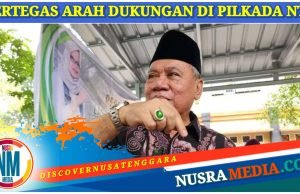 PPP Pastikan Usung Rohmi-Firin