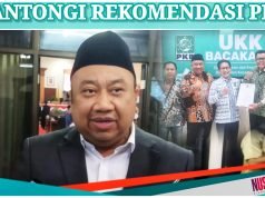 Ini Pertimbangan PKB Usung Jarot-Ansori