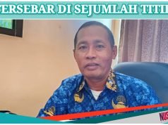 Sumbawa Usulkan 14.700 Hektare Cetak Sawah Baru 2025