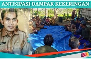 Sumbawa Atur Pola Tanam Padi