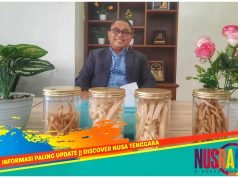 Gerindra Final Usung Jarot-Ansori