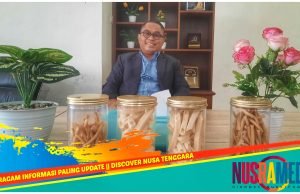 Gerindra Final Usung Jarot-Ansori