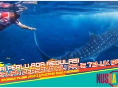 Johan Rosihan Promosikan Pariwisata Sumbawa