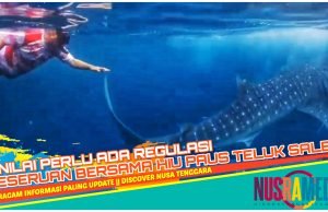 Johan Rosihan Promosikan Pariwisata Sumbawa