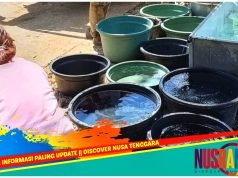 Masyarakat Sumbawa Diminta Segera Koordinasi dengan Pemdes