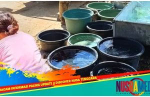 Masyarakat Sumbawa Diminta Segera Koordinasi dengan Pemdes
