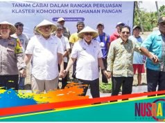 Pemda Sumbawa Lakukan Perluasan Klaster Komoditas Ketahanan Pangan