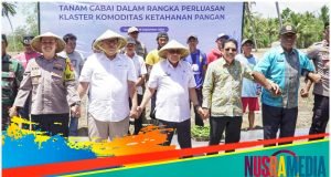 Pemda Sumbawa Lakukan Perluasan Klaster Komoditas Ketahanan Pangan