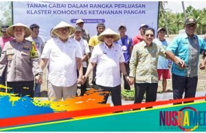 Pemda Sumbawa Lakukan Perluasan Klaster Komoditas Ketahanan Pangan