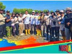 Pjs Bupati Sumbawa Pimpin Penanaman Mangrove di Pulau Bungin