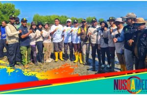 Pjs Bupati Sumbawa Pimpin Penanaman Mangrove di Pulau Bungin