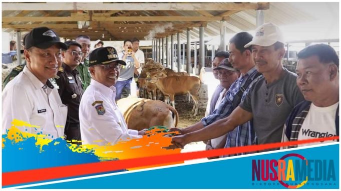 Pemda Sumbawa Serahkan Bantuan Hibah Ternak Sapi