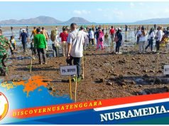 Aksi Penanaman Seribu Mangrove Berlanjut di Labuhan Terata