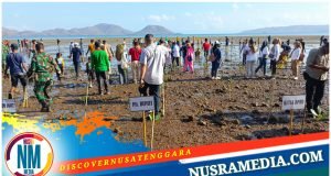 Aksi Penanaman Seribu Mangrove Berlanjut di Labuhan Terata