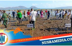 Aksi Penanaman Seribu Mangrove Berlanjut di Labuhan Terata