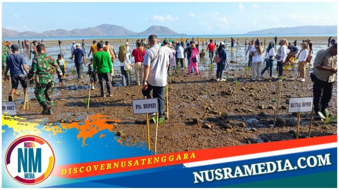 Aksi Penanaman Seribu Mangrove Berlanjut di Labuhan Terata