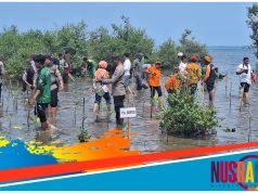 Pjs Bupati Sumbawa Pimpin Penanaman Mangrove di Pulau Kaung