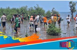 Pjs Bupati Sumbawa Pimpin Penanaman Mangrove di Pulau Kaung