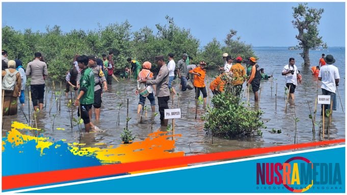 Pjs Bupati Sumbawa Pimpin Penanaman Mangrove di Pulau Kaung