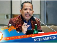 Johan Rosihan Ingatkan Hindari “Naturalisasi Pangan” Demi Mencapai Swasembada