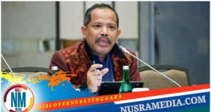 Johan Rosihan Ingatkan Hindari “Naturalisasi Pangan” Demi Mencapai Swasembada