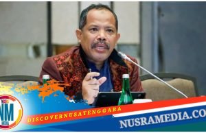 Johan Rosihan Ingatkan Hindari “Naturalisasi Pangan” Demi Mencapai Swasembada