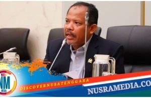 Johan Rosihan Dukung Penuh Hilirisasi Komoditas Udang di Kabupaten Sumbawa