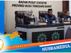 Smelter PT Amman Mineral Diharapkan Tingkatkan Ekspor NTB