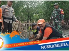 Kolaborasi Johan Rosihan Tanam 32 Ribu Pohon Mangrove di Desa Tarusa