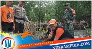 Kolaborasi Johan Rosihan Tanam 32 Ribu Pohon Mangrove di Desa Tarusa