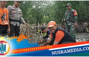 Kolaborasi Johan Rosihan Tanam 32 Ribu Pohon Mangrove di Desa Tarusa