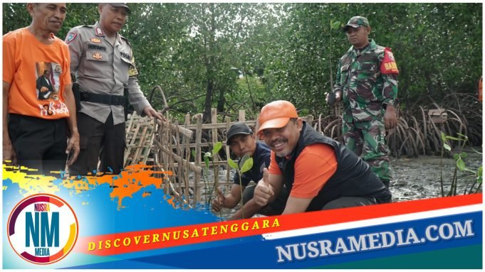 Kolaborasi Johan Rosihan Tanam 32 Ribu Pohon Mangrove di Desa Tarusa