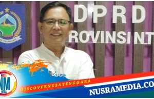 Dewan NTB Salman Alfarizi Prihatin Kondisi Hutan dan Sumber Air di Sumbawa
