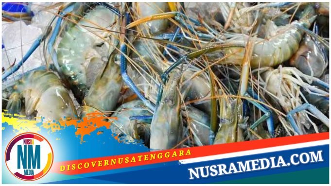 Pemprov NTB Permudah Perizinan Tambak Udang