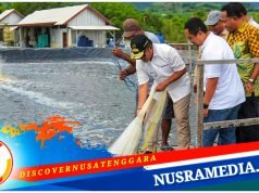 Pj Gubernur NTB Panen Udang di Sumbawa