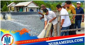 Pj Gubernur NTB Panen Udang di Sumbawa