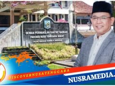 Salman Alfarizi Dorong Pemprov NTB Kembali Galakan Gerakan Penghijauan