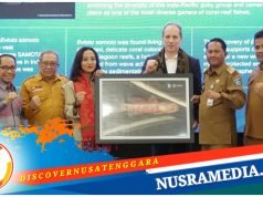 Bupati Sumbawa Dukung Penuh Penetapan Kawasan Ekosistem Hiu Paus di Teluk Saleh Sebagai Kawasan Konservasi