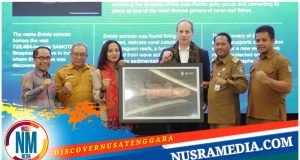 Bupati Sumbawa Dukung Penuh Penetapan Kawasan Ekosistem Hiu Paus di Teluk Saleh Sebagai Kawasan Konservasi