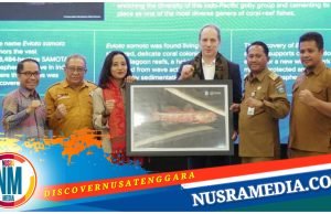 Bupati Sumbawa Dukung Penuh Penetapan Kawasan Ekosistem Hiu Paus di Teluk Saleh Sebagai Kawasan Konservasi