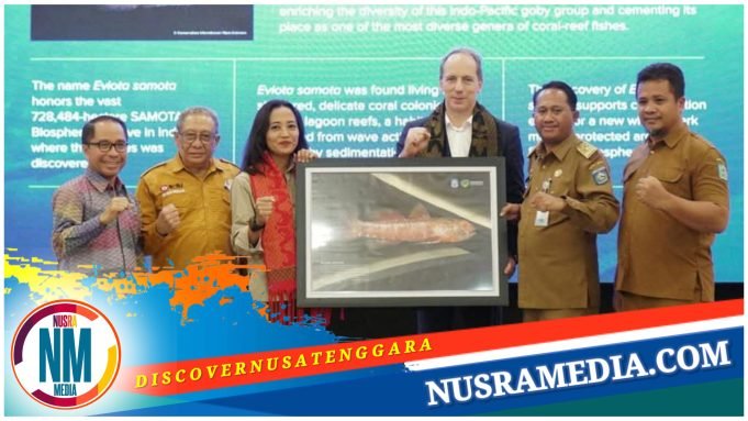 Bupati Sumbawa Dukung Penuh Penetapan Kawasan Ekosistem Hiu Paus di Teluk Saleh Sebagai Kawasan Konservasi