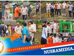 Jawab Kegelisahan Warga, Gerindra Lombok Utara Gelar Posyandu Ternak