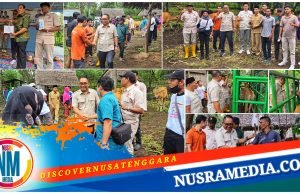 Jawab Kegelisahan Warga, Gerindra Lombok Utara Gelar Posyandu Ternak