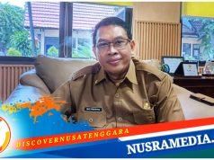 Sumbawa Bakal Jadikan Whale Shark Sebagai Scientific Tourism