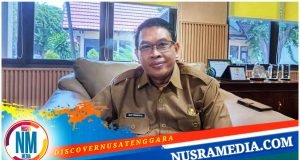 Sumbawa Bakal Jadikan Whale Shark Sebagai Scientific Tourism